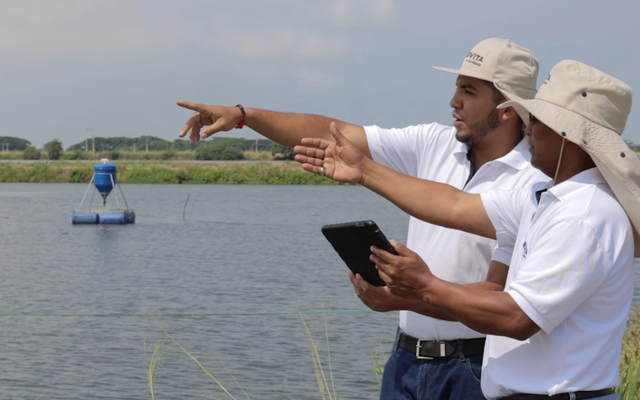 Nicovita abrirá un centro de investigación de camarones en Ecuador