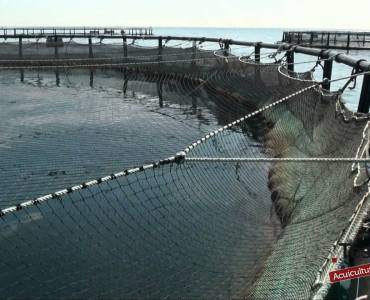 CULTIVAR EL MAR, ACUICULTURA