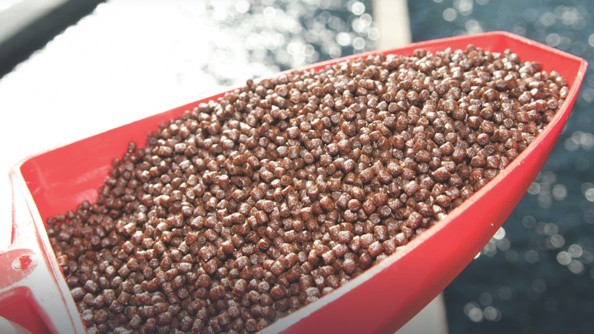 AquaFeed: AquaFeed Processing