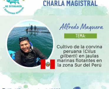 Cultivo de la corvina peruana (Cilus gilberti) en jaulas marinas flotantes en la zona Sur del Perú