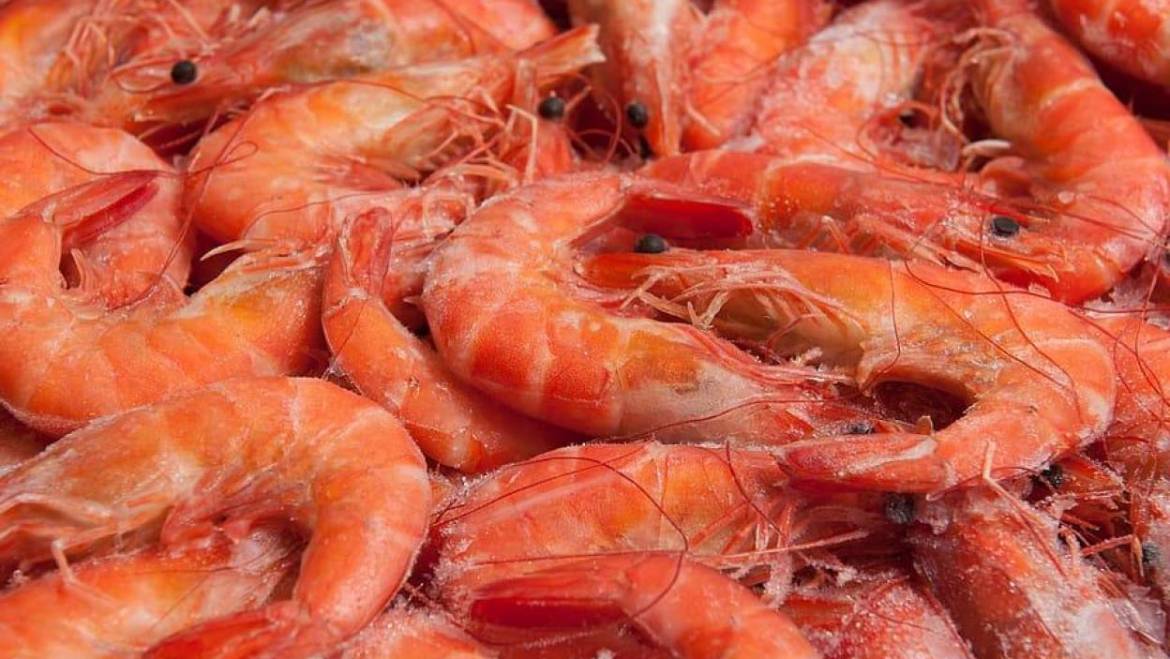 Receta de Camarones