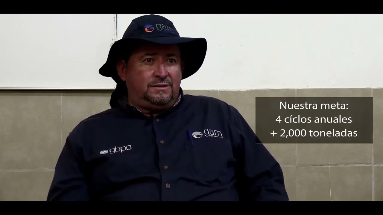 GRANJA DE CAMARON HYPER-INTENSIVA TRIFASICA GAM CHANILAMA