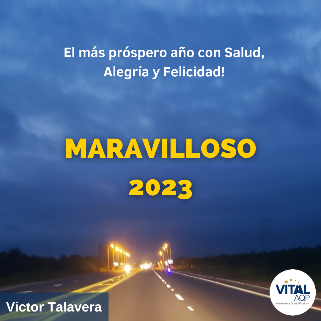 ¡Feliz 2023!
