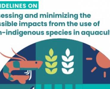 FAO publica una guía que ayuda a minimizar los posibles impactos de las especies exóticas en acuicultura