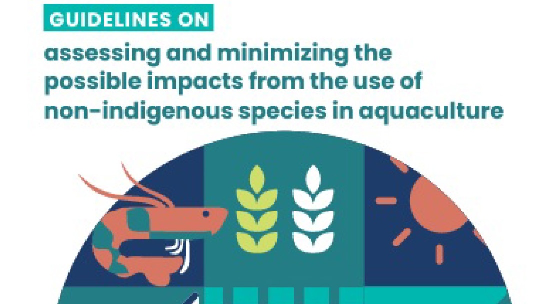 FAO publica una guía que ayuda a minimizar los posibles impactos de las especies exóticas en acuicultura