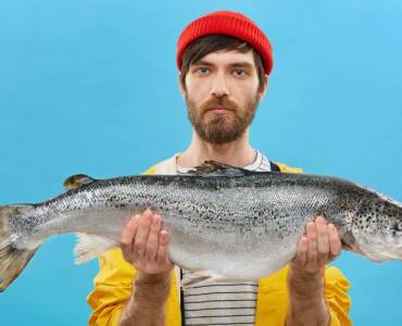 ¿Pollo o salmón como más sostenible? Depende, sus valores nutricionales no son iguales