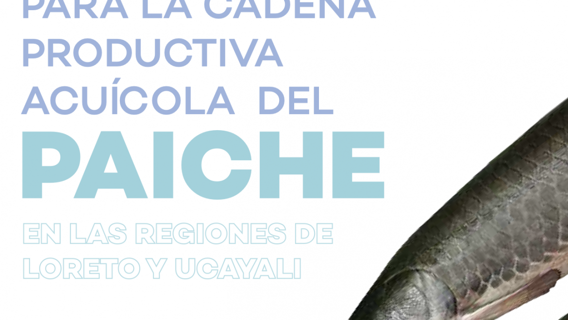 Plan de negocio para la cadena productive acuícola del PAICHE