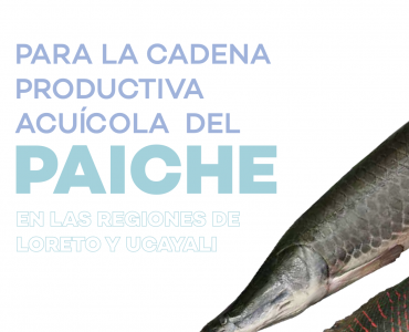 Plan de negocio para la cadena productive acuícola del PAICHE