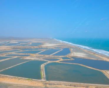 El sector de la acuicultura volvió a tirar del PIB de Ecuador hacia arriba en 2022