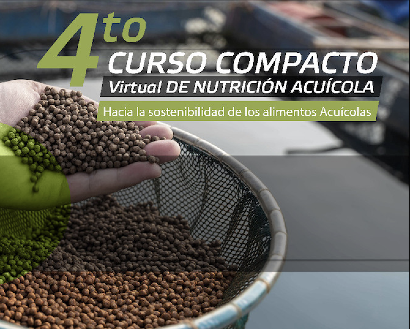 Panorama Acuícola Magazine