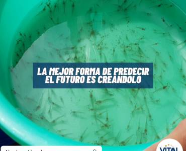 Pensamiento