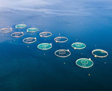 NewTechAqua avanza sobre cómo será la transformación digital a nivel de granja