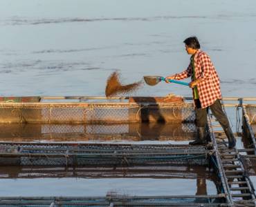 FAO identifica en una guía el marco legal para promover la acuicultura sostenible en los países