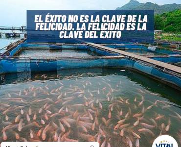 Pensamiento