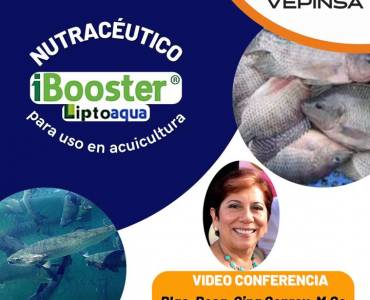Uso De IBOOSTER Para la Inmunomodulación y control de la respuesta inflamatoria en peces