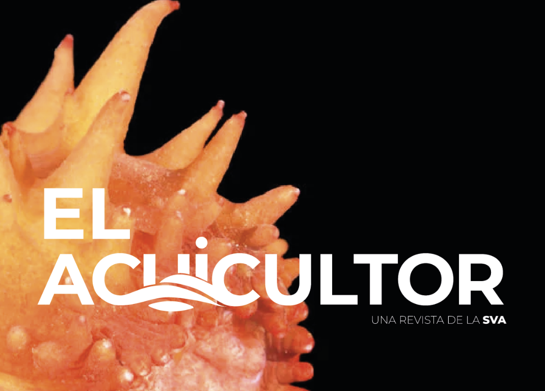 Producción de camarón marino integrado con tilapia a altas densidades y en un sistema Biofloc: Elegir la mejor configuración espacial