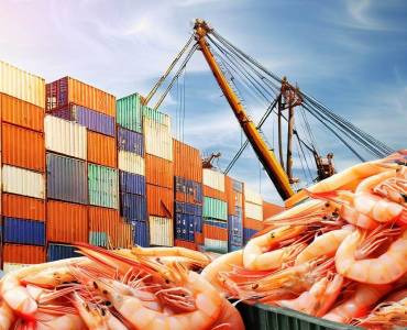 ESTADÍSTICAS DEL COMERCIO DE CAMARÓN