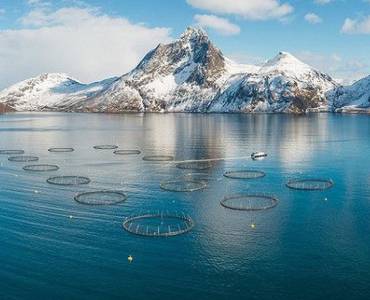 Investigadores noruegos publican una guía práctica para reducir el consumo de plásticos en acuicultura