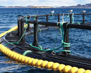 Invitación del Comité Técnico de Normas de Acuicultura