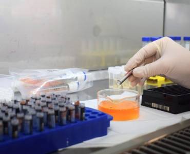 El informe de CSIRO FRDC genera una señal de alerta: una brecha peligrosa en las pruebas de enfermedades del camarón