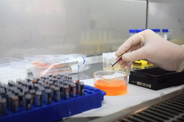 El informe de CSIRO FRDC genera una señal de alerta: una brecha peligrosa en las pruebas de enfermedades del camarón