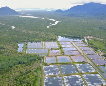 Cómo superar y prevenir inundaciones en estanques camaroneros