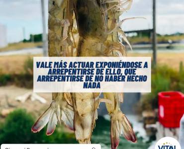 Pensamiento