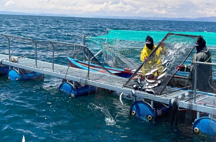 La lucha contra la informalidad acuícola en Perú pasa por la formación de los empresarios