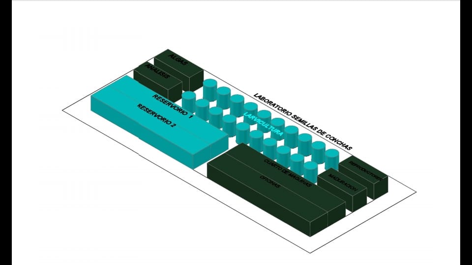 Diseños y Construcciones Acuícolas