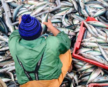SOFIA 2024: LA PRODUCCIÓN MUNDIAL DE LA PESCA Y LA ACUICULTURA ALCANZA UN NUEVO MÁXIMO HISTÓRICO
