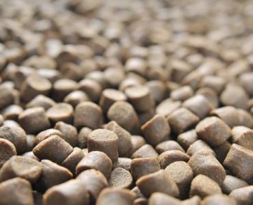 La producción de piensos compuestos de la UE disminuirá en 2024