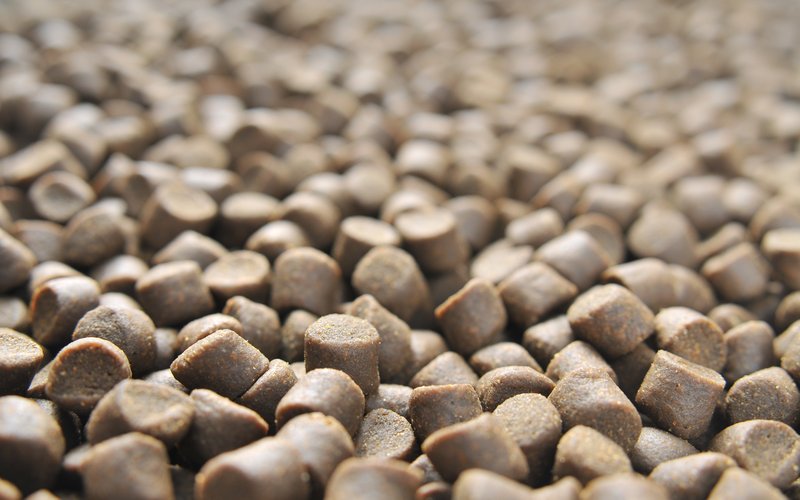 La producción de piensos compuestos de la UE disminuirá en 2024