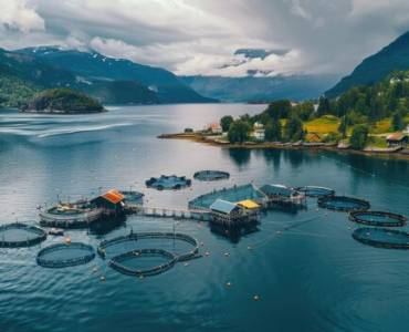 El futuro de la acuicultura. Nuevas tecnologías de piscicultura