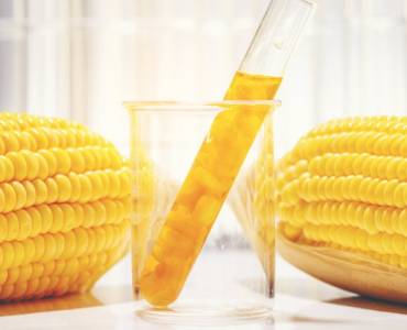 La producción de etanol renovable en Europa, un aliado inesperado de la acuicultura