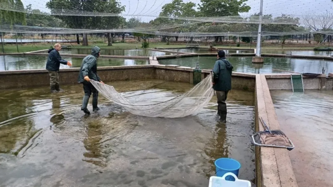 La importancia de prestar atención al impacto socioeconómico de la acuicultura en Europa