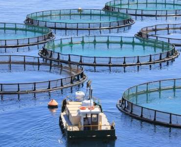 Producción Acuícola en la Unión Europea