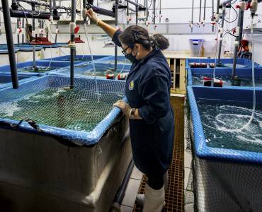 La FAO resaltó la importancia de la transformación azul en la pesca y acuicultura durante el International Fish Congress en Brasil