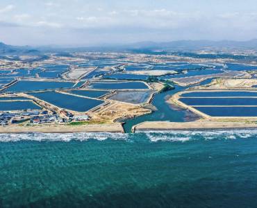 Cortes eléctricos en Ecuador amenazan el rendimiento de la cadena de producción de camarones del país