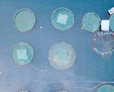 Países del Mediterráneo acuerdan reforzar esfuerzos para la sostenibilidad de la acuicultura