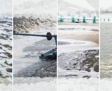 ESPUMA EN ESTANQUE DE CAMARONES