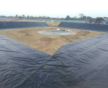 Inodoros de Camarón