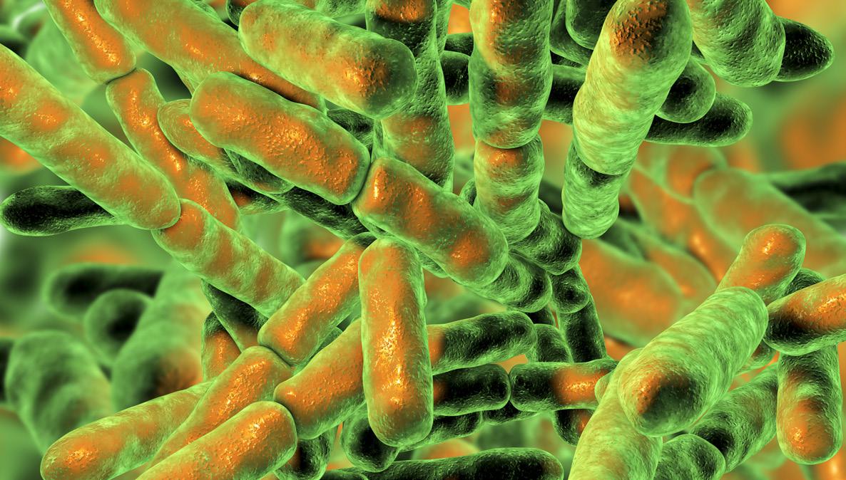 Uso y abuso de antibióticos en el cultivo de camarón