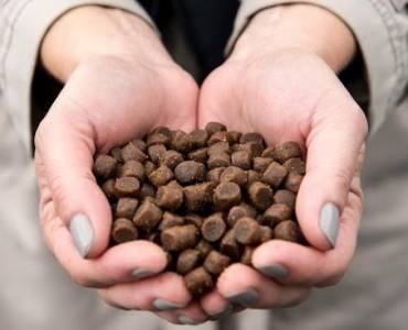 Decisiones en la cadena: ¿Quién determina los ingredientes en los piensos de acuicultura?