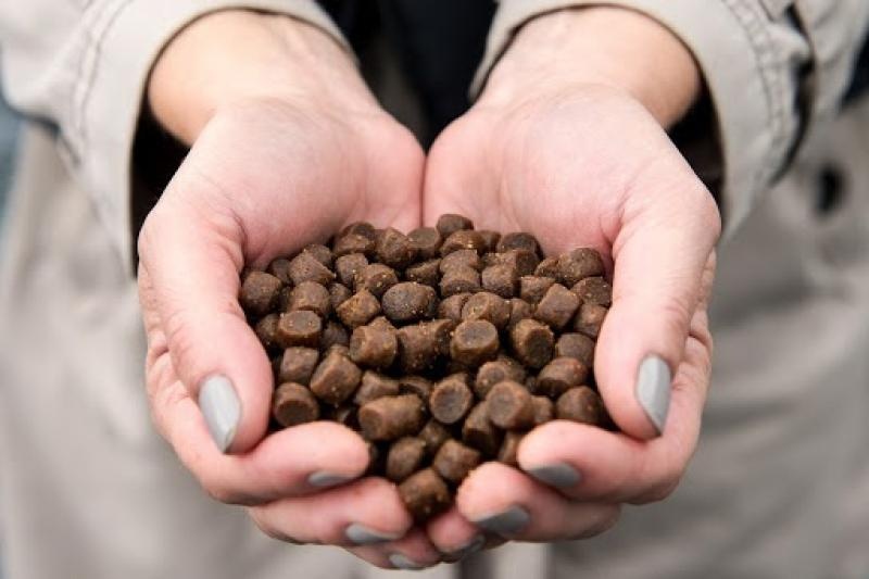 Decisiones en la cadena: ¿Quién determina los ingredientes en los piensos de acuicultura?