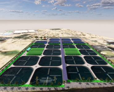MODELO INNOVADOR DE AGRICULTURA DE CAMARONES – UN ESTUDIO DE CASO