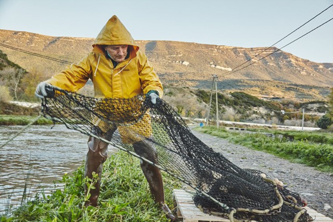 APROMAR pide a las Administraciones mayor coordinación para fomentar el crecimiento de la acuicultura