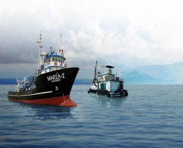 Perú autoriza la primera temporada de pesca de anchoveta en su zona centro-norte con una cuota de 3 millones de toneladas