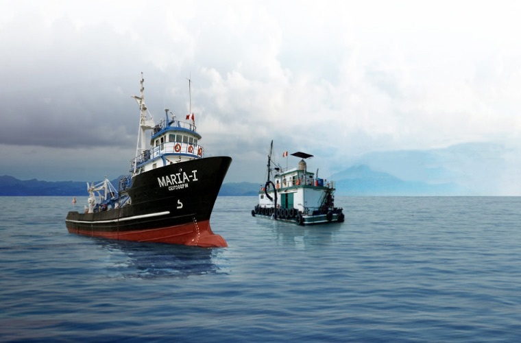 Perú autoriza la primera temporada de pesca de anchoveta en su zona centro-norte con una cuota de 3 millones de toneladas