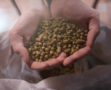 Precios de piensos estabilizados, una información positiva para la acuicultura española