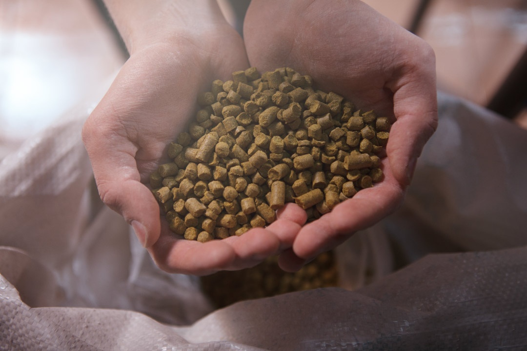 Precios de piensos estabilizados, una información positiva para la acuicultura española